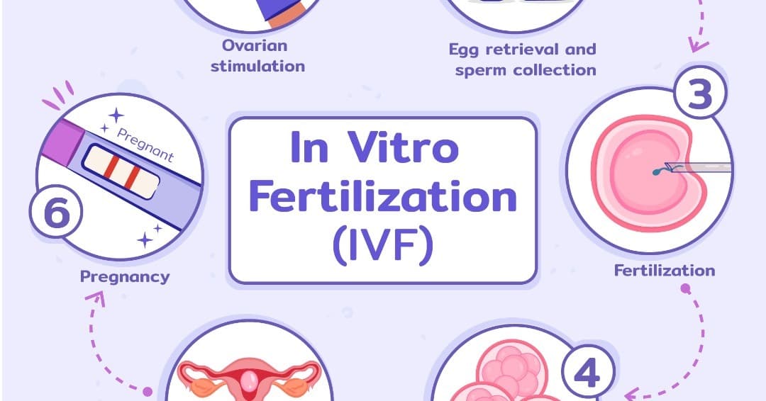 Surrogacy Program